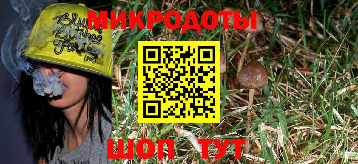 Псилоцибиновые грибы Psilocybe  Вход с VPN  Шарыпово 
