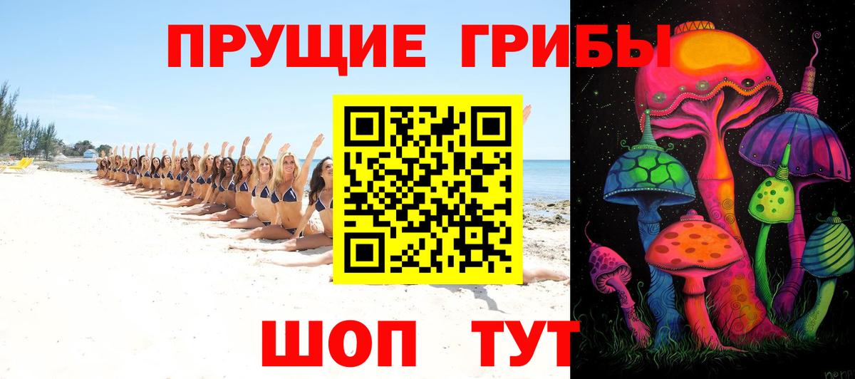 Псилоцибиновые грибы мицелий Шарыпово